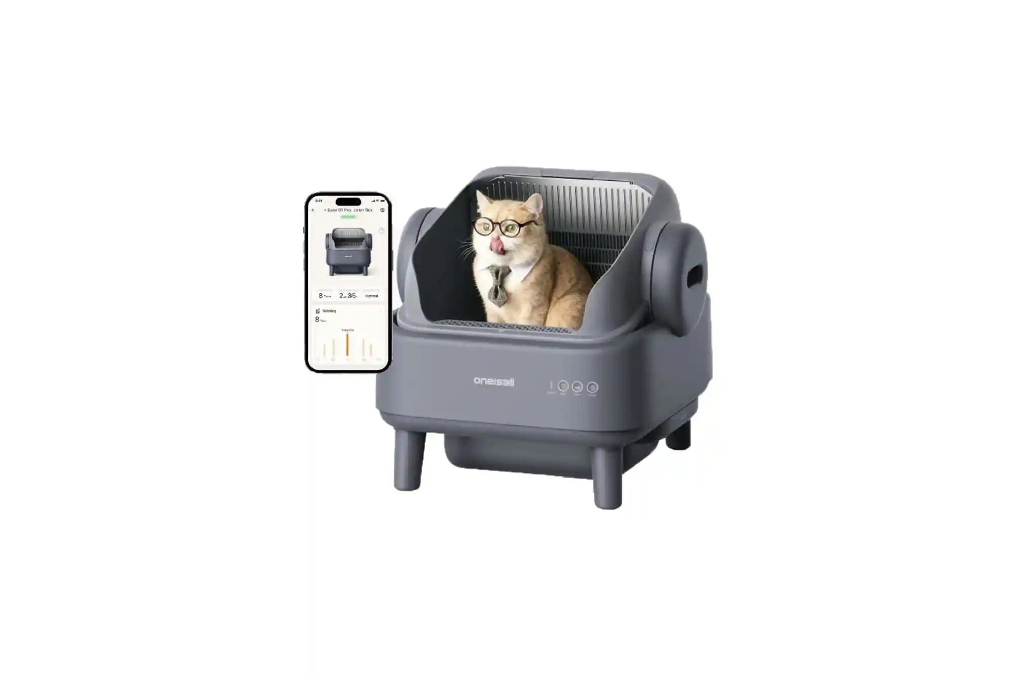 Best Top-Entry and High-Sided Litter Boxes for Cats That Kick Litter and High Pee-ers